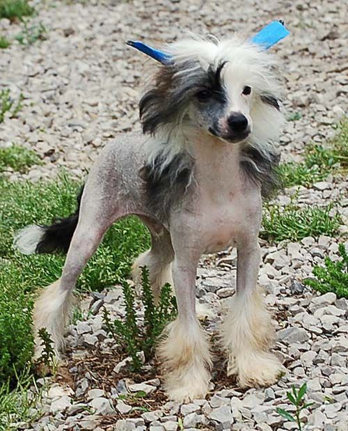 Silver Bluff Danc'n After Dark