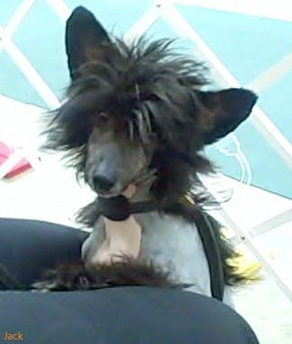 Sakkarra Puttin' On The Glitz