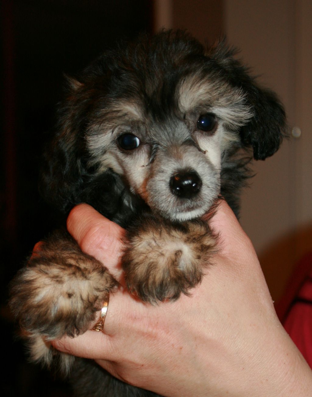 Cute and Crazy Julie