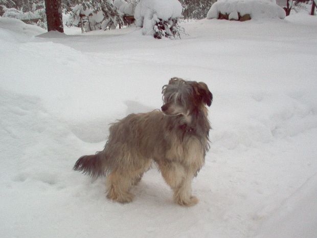 Old Chum's Nickname Notorious