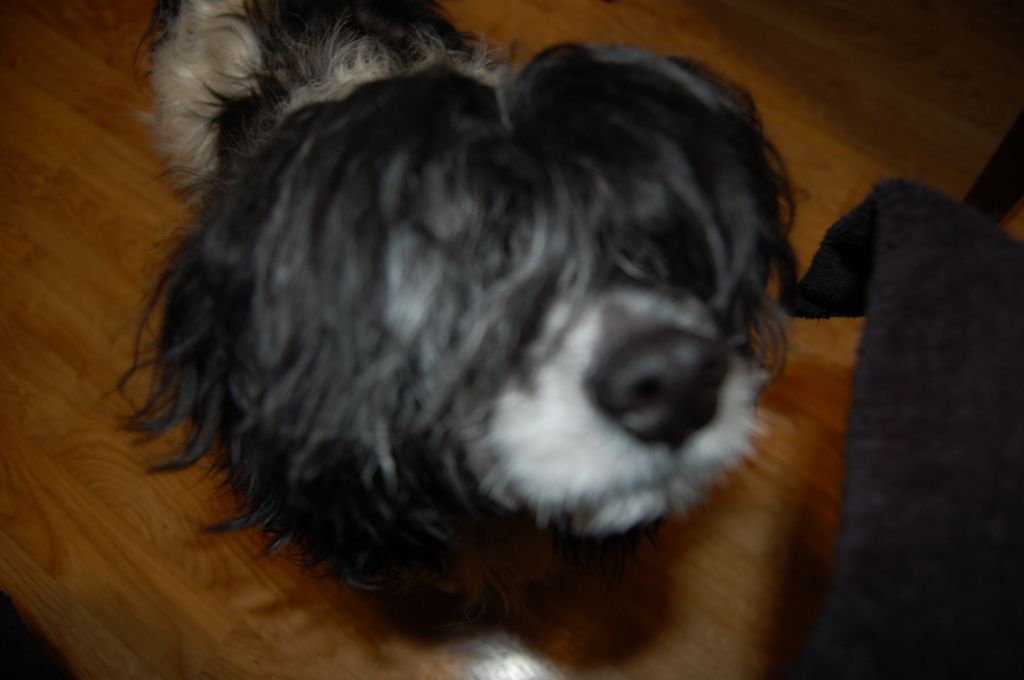 Chattanooga's Luna Creciente