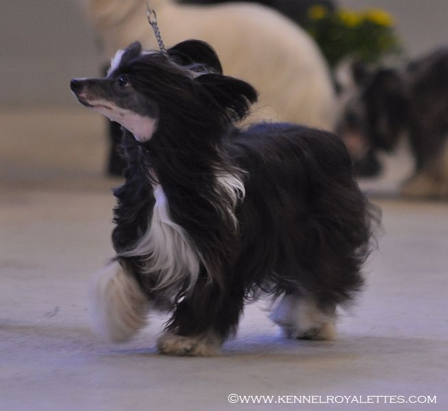 Chattanooga's La Luna