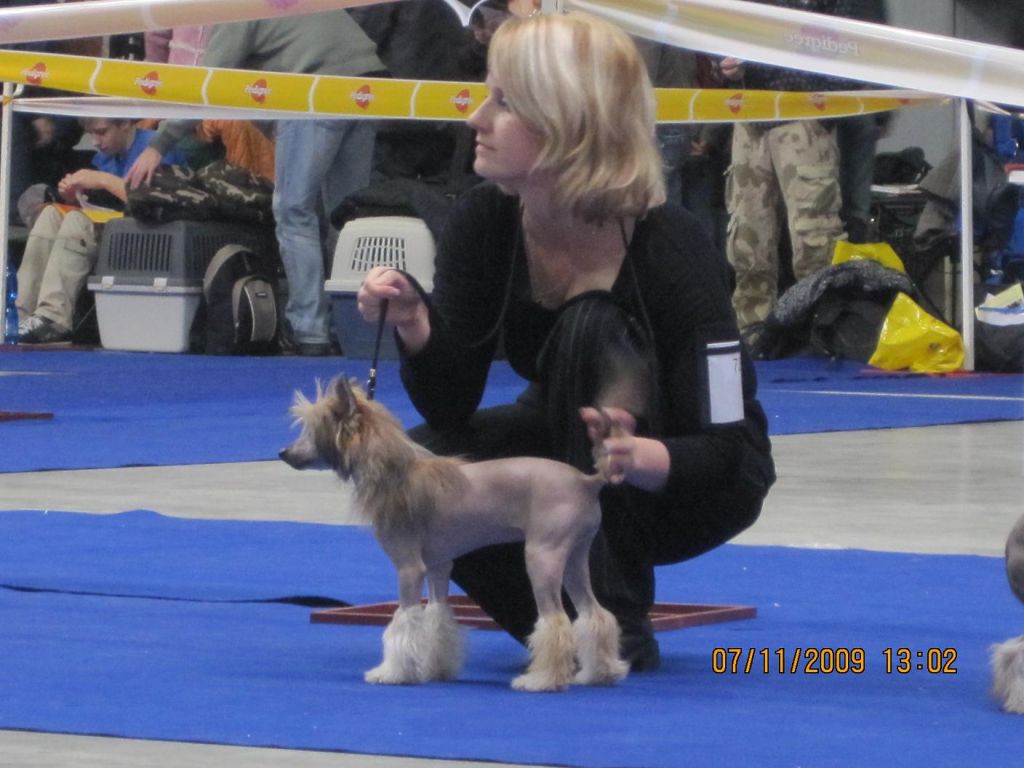 Azaro Coral Sea ar Arenis Marri