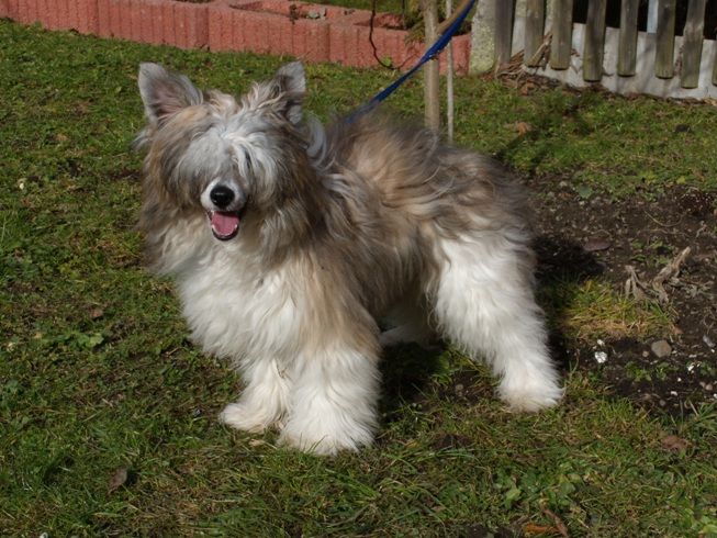 Treasure Guardians Einstein