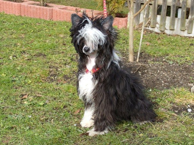 Treasure Guardians Eternity