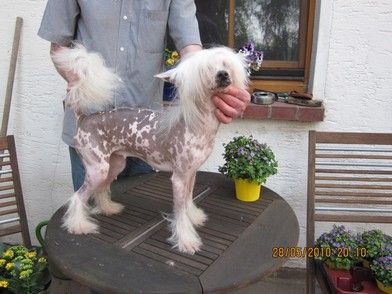 Frendor's Power of Love