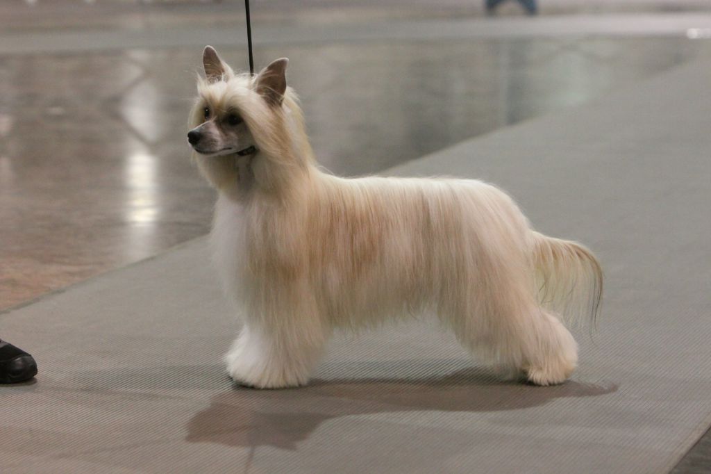 Delende God Blessed Texas