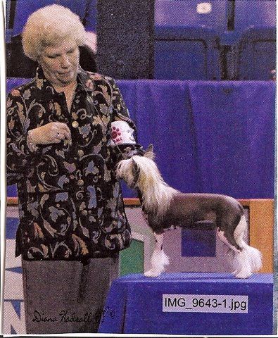 Windcrest N' M.t.o. Tre'sor