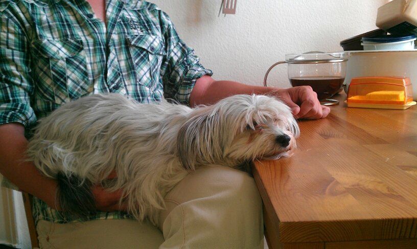 Edcullen's Glade A Hot Patootie