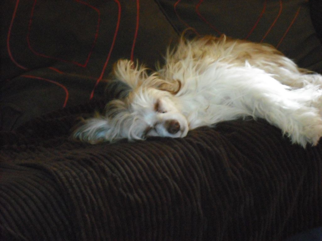 Bridgetnaces twiglet