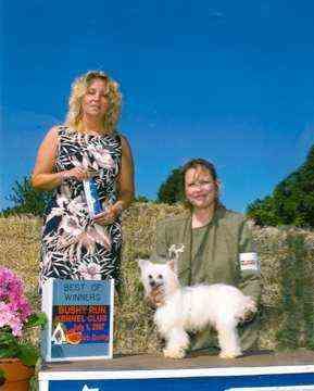 Six Gems Mighty Mouse