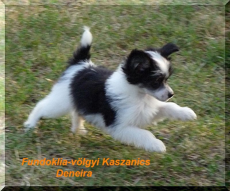 Fundoklia-völgyi Kaszanics Deneira