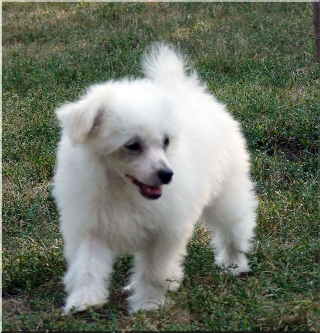 Fundoklia-völgyi Kaszanics Desperado