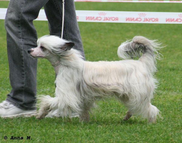 Mooncrest Free to Hug