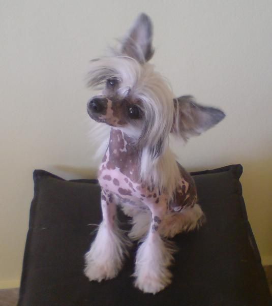 Kiss The Sun And The Moon