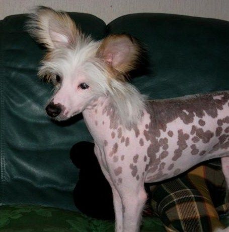 Newzonen Can I Have Coffee