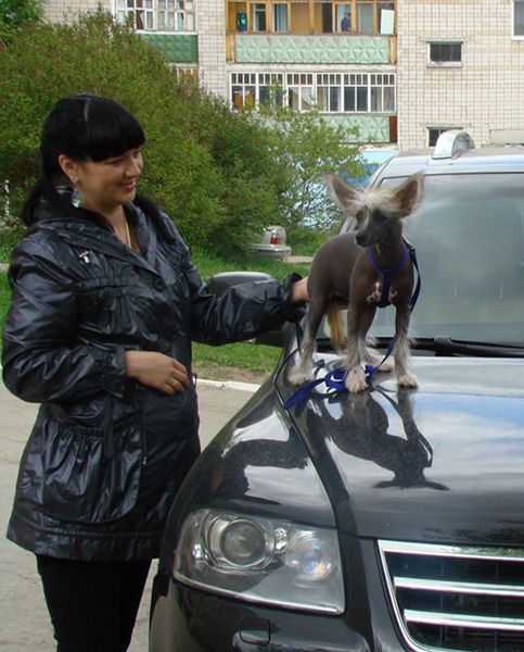  Kristal Yaniry Urmala