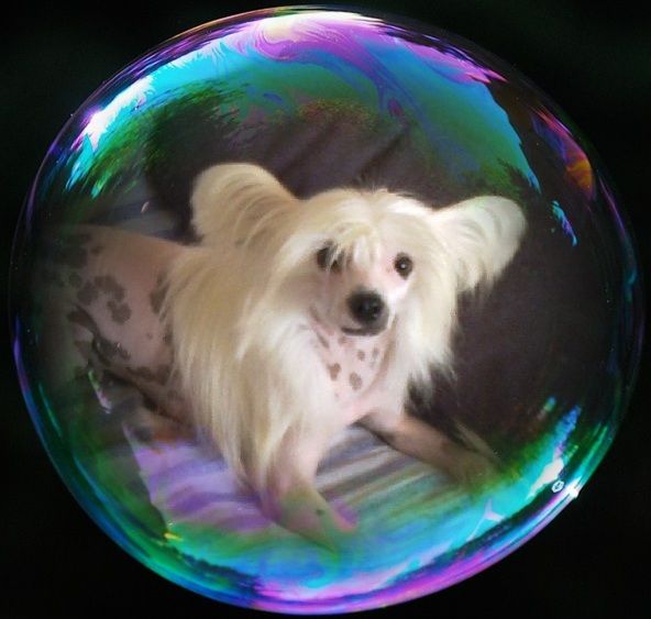 Liz at L'Essence de Mon Tout