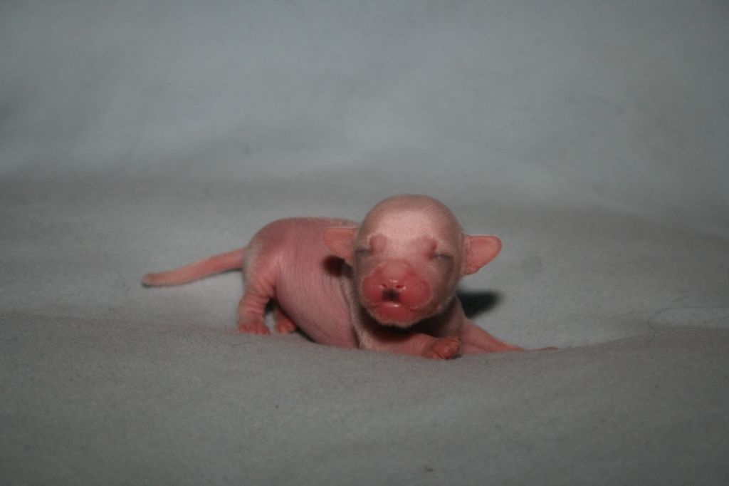 Chattanooga's Proud To Be Me