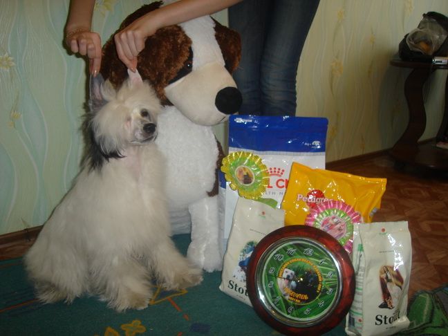 Odyssei Akstrem Fartovyi