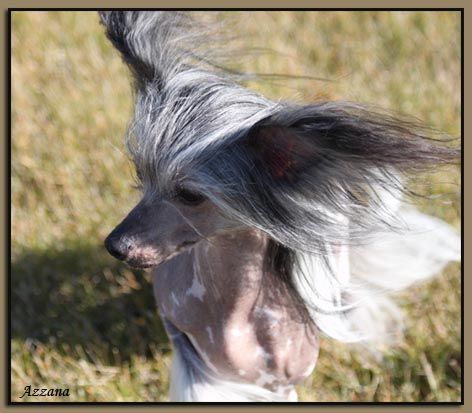 Azzana Take Me As I Am