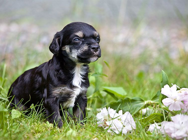 Magic'N Mystic Kisses To Misses