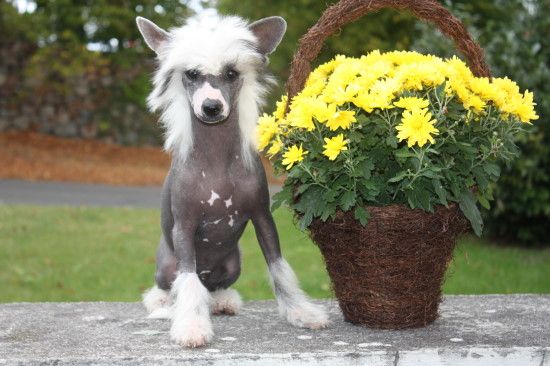 Inspiration from Angels Fundation