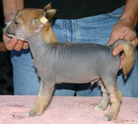 Laureola's Out of Sight