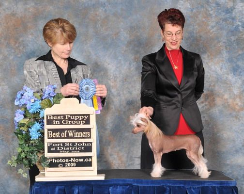 Sunberry's Party Girl At Chargi