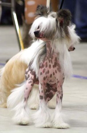 Sun-Hee's It's All Or Nothing