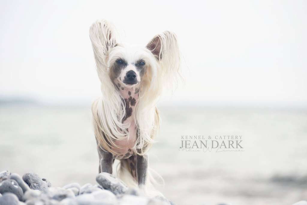 Sun-Hee's I'm a Marionette