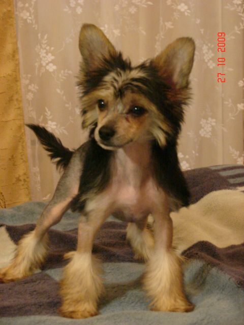 True Magnifisen Intensive Rise