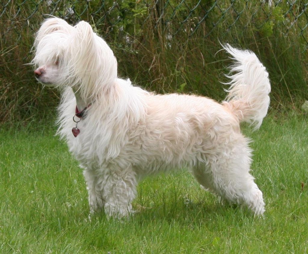 Absolute Souls Micro Tiny Only Me