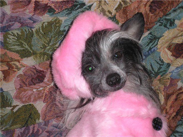 Lissa Solnechniy Kapriz