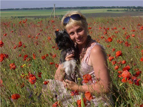 Perfect Prince Angel's Rose