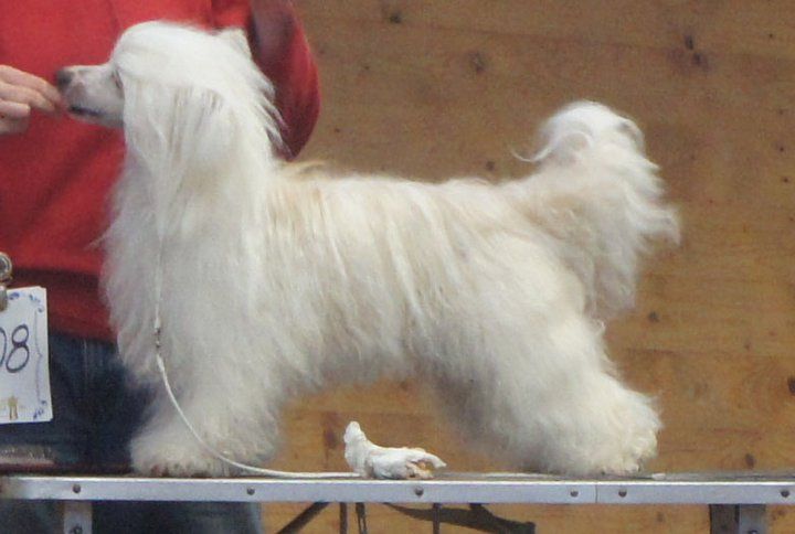 Proud Pony Right On Time