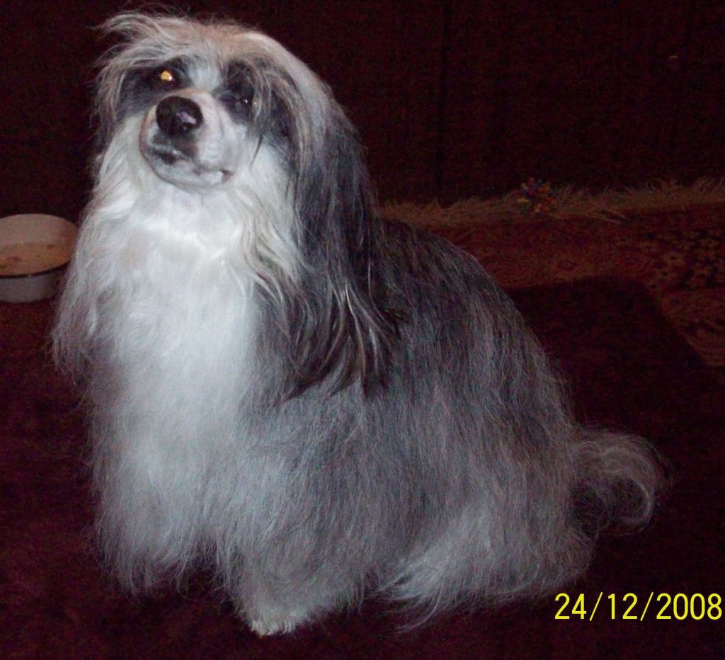 Obajatelnaja Baryshnya