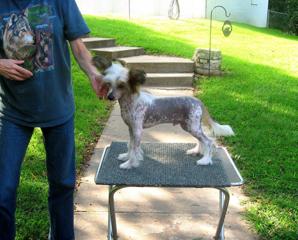 Blanch-o Tapscott's One More Time