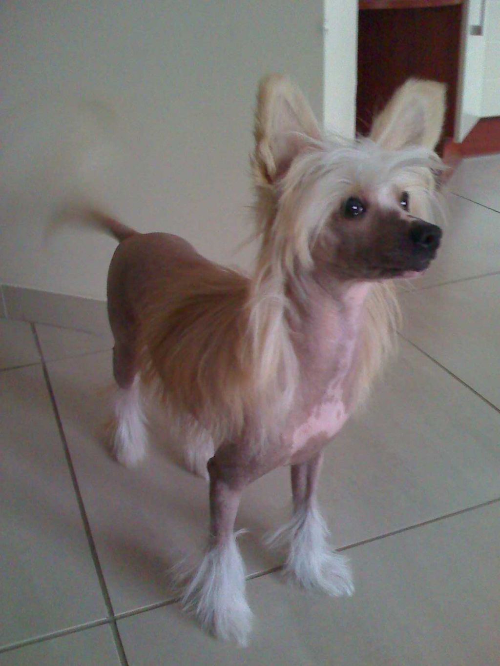 Rouber Balt Missy San