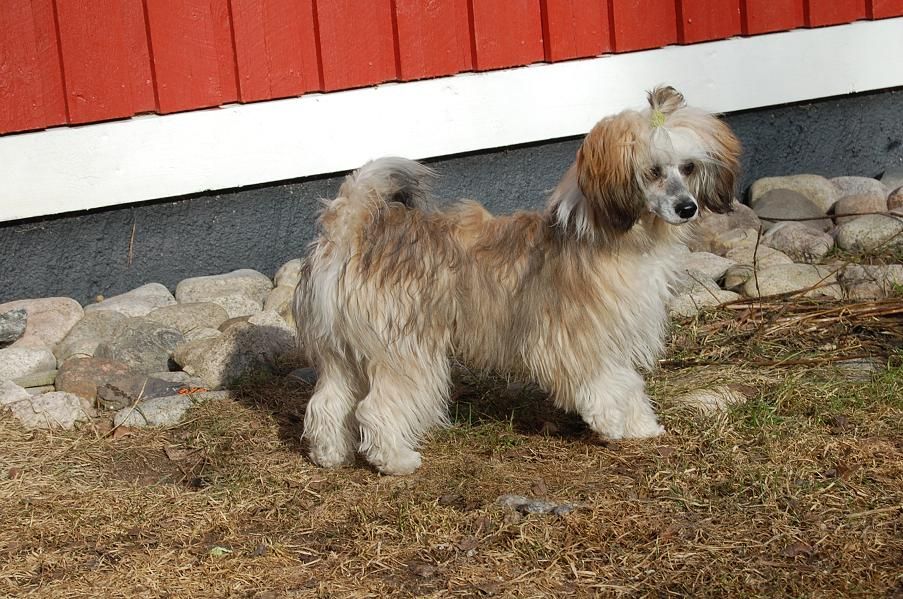 Pinky Twinky Giving You A Smile