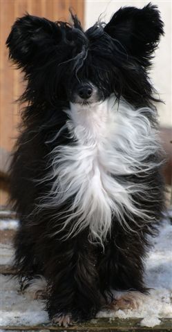 Vivienne of Beminita