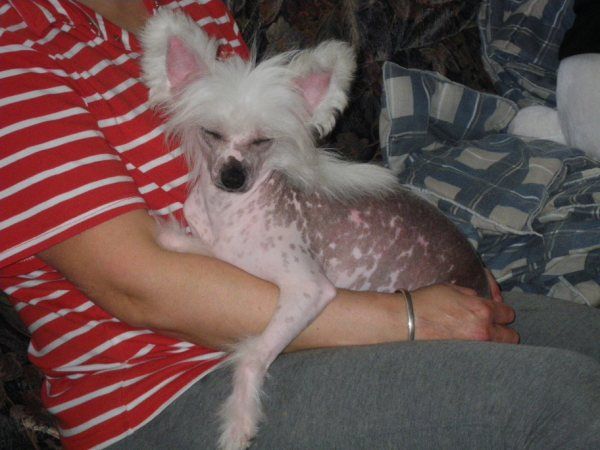 eyanora du pavé de varennes