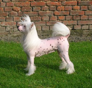 embada du pavé de varennes