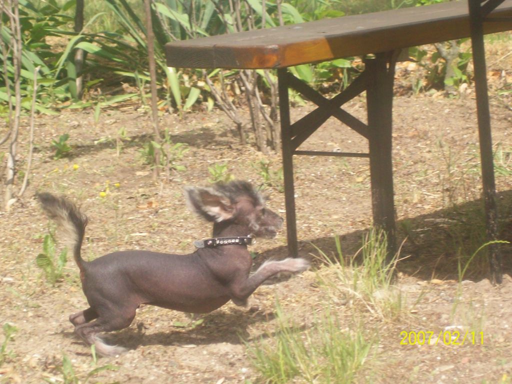 Puha-Luxus Porcelán Árnyék