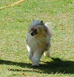 Secret Ale Afrodyzjak