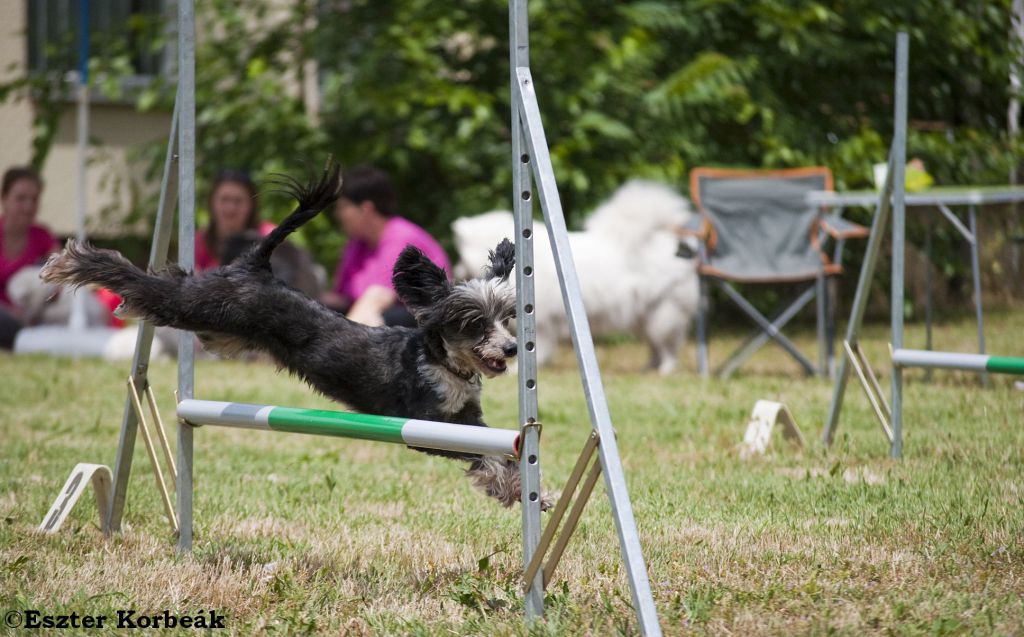 Erand Black Man In Black