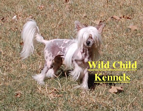 Wild Child Kickstart My Heart