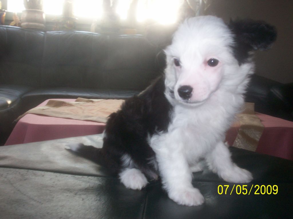 Bartholomaus Beste Jangoljatko