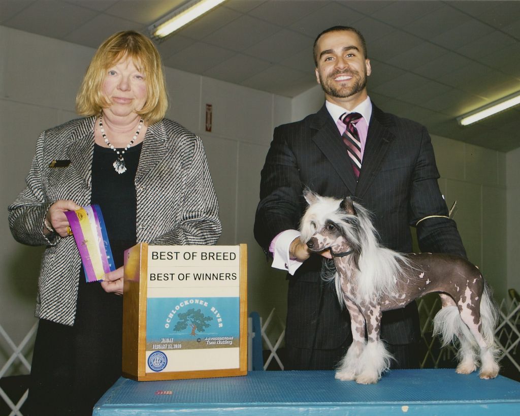 Olivera's Walk Like You Own It HL