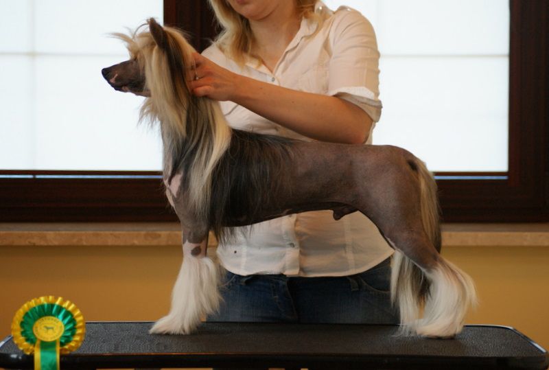 Armani Molka D- Amore